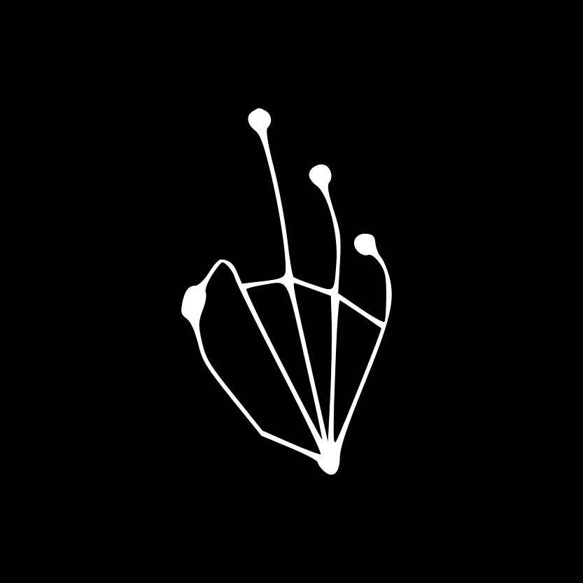 Human Computer Lab logo