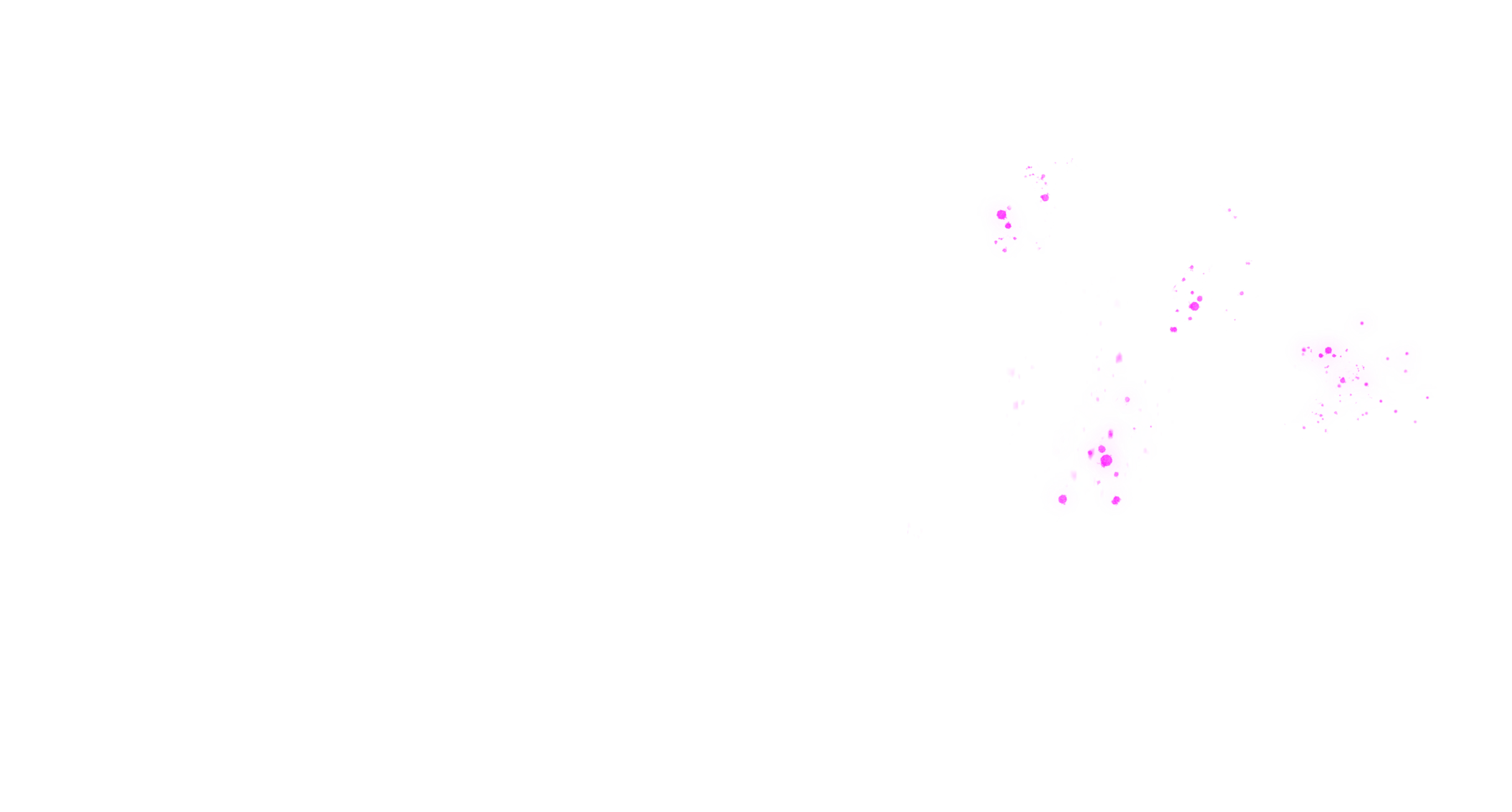 Paint Front