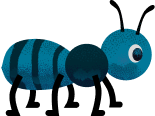 Ant